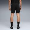 Puma Men S Dreamrun 2in1 5in ShortS