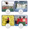 Multi-Purpose Foldable Gymnastics & Exercise Mat