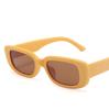 Small Square Rectangle Sunglasses Women Square Sunglasses 90s Retro Eyewear Vintage Candy Color Sunglasses Lentes Sol
