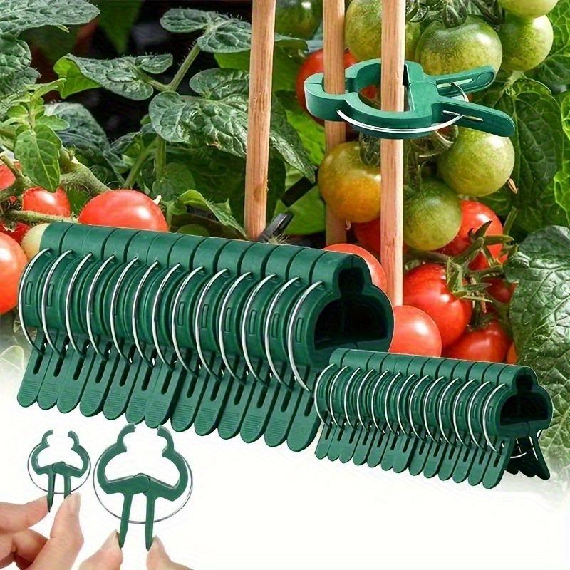 50 Stück Grüne Pflanzenstützclips, Tomaten-Gurken-Rankenclips, Kunststoff Gartenpflanzenbinder, Langlebige Pflanzenhalter für Zweige