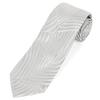 Giorgio Armani Tie Gift GA005 Silver (GA005-10 8P906-00040) [Used]