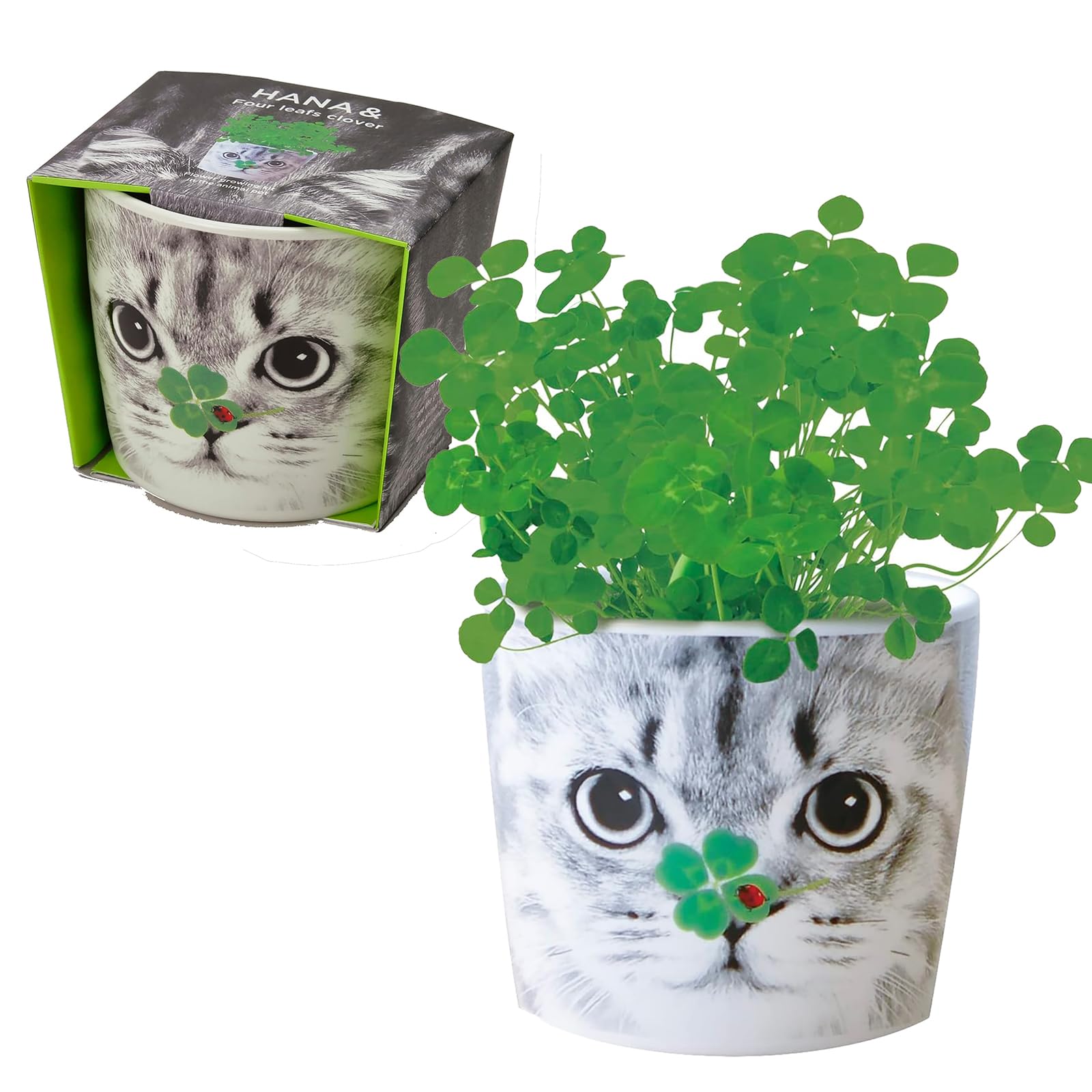 

Набор для выращивания цветов Seishin Pottery Home Garden Easy Cultivation Kit Relaxed Grow Four Leaf Clover Flower Cultivation Set Диаметр горшка 9 см Подарок на день кошки на день рождения