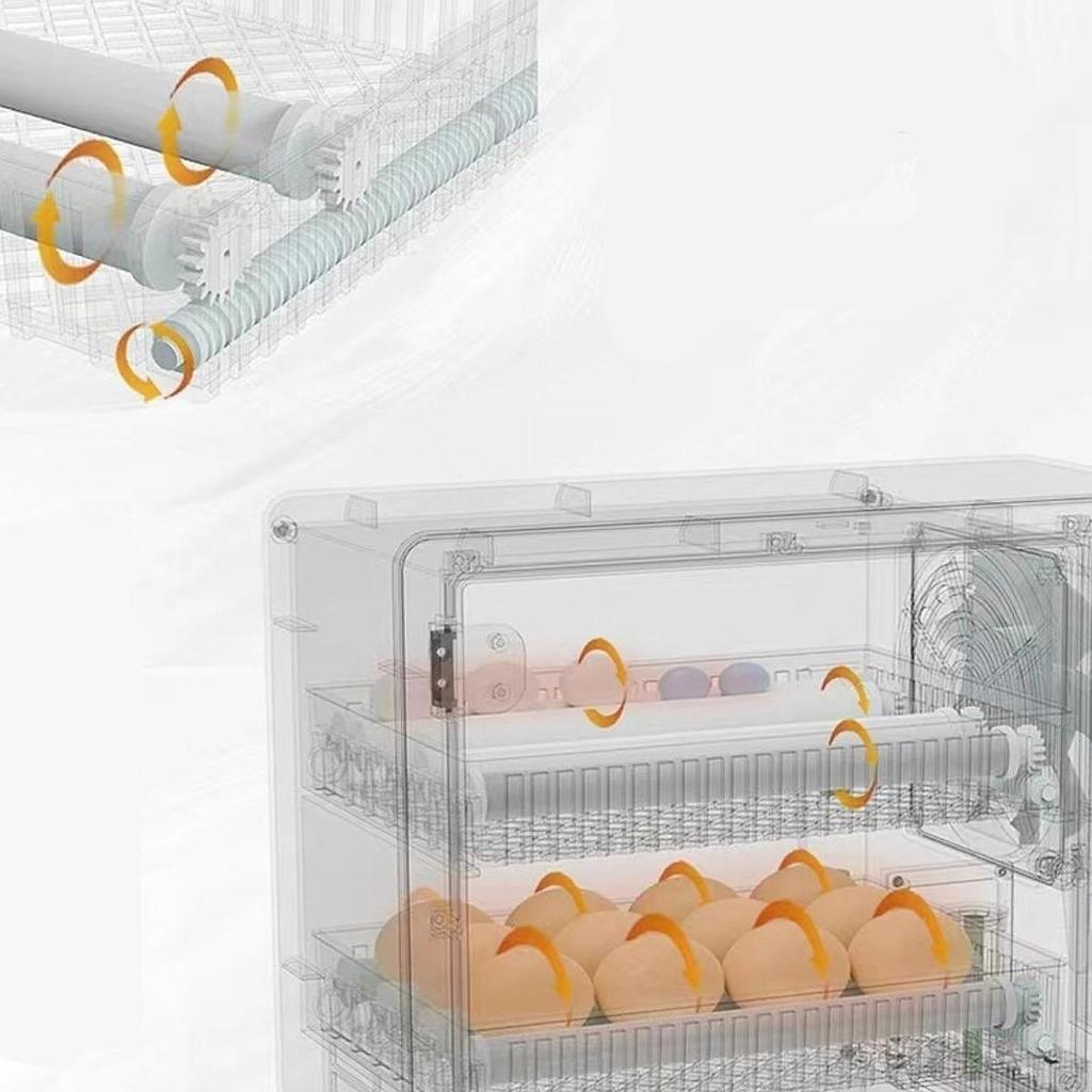 Egg Incubator for Hatching Eggs Automatic Turning Parrot Quail Goose 24