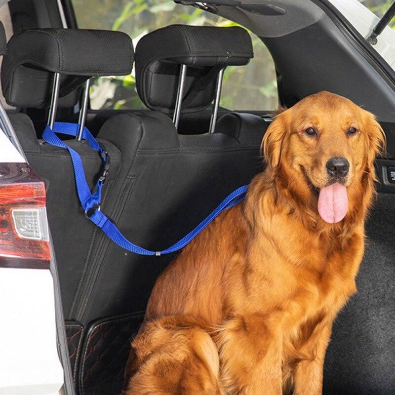 Pet Dog Cat Car Seat Belt Adjustable Harness Leash For Small Medium Dogs Puppy Clip Strap Leads Supplies At Affordable S Free Real Reviews With Photos - Lexus Car Seat Covers For Dogs Pet Dog Cat Car Seat Belt Adjustable Harness Leash For Small Medium Dogs Puppy Clip Strap Leads Supplies At Affordable S Free Real Reviews With Photos - Lexus Car Seat Covers For Dogs