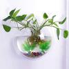 Transparent Creative Wall Mounted Acrylic Fish Bowl Hanging Aquarium Fish Tank Home Decor (23cm Diameter) (23CM)