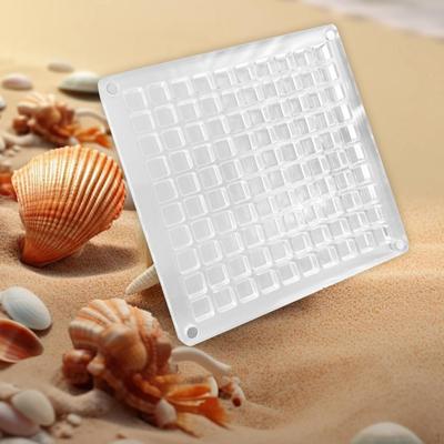 Aufbewahrungsbox aus Acryl mit Muscheln für Sammlerstücke