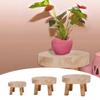 Sukkulenten-Ausstellungsständer für drinnen und draußen Blumentopf-Basis Pflanzenständer Regal Blumentopfhalter Holzschemel