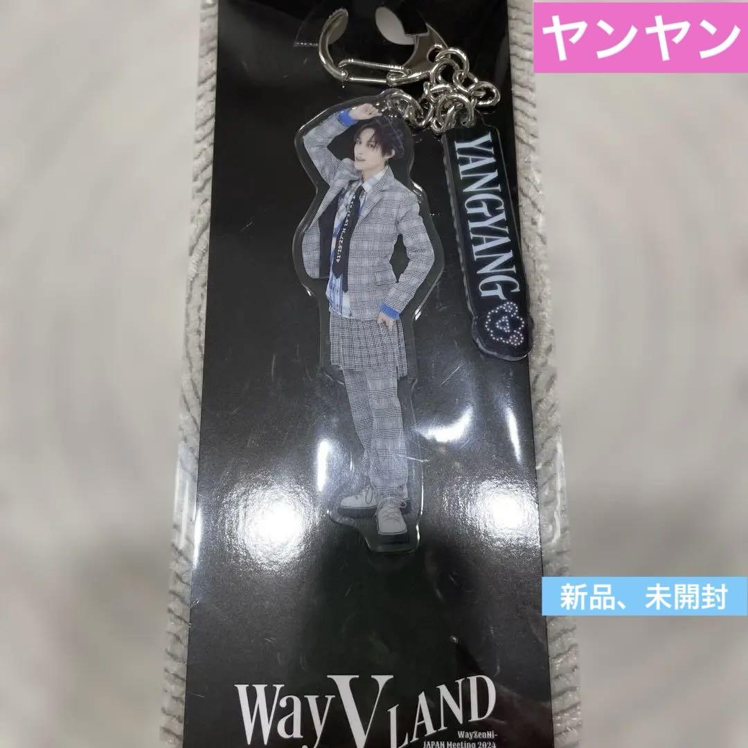 

[USED] WayV Yang Yang Fanmi WayV Land Key Ring