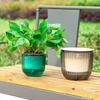 Plants Pot Flower Pot Hanging Basket Hanging Pot Thickened Vase  Green Pineapple