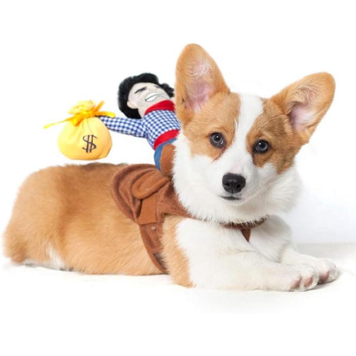 Xiaoyu Pet Dog Cat Halloween Costume, Riding Horse Style Costume, Funny Pet Knight Style Clothing for Dog Cat Cosplay, L