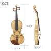 Astonvilla 4/4 Violin Spruce Top Maple Craft Tiger Stripe Ebony Parts Handcrafted 4/4 Violin with