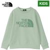 The North Face Colorise Sweat Misty 150 Crew, Sage,