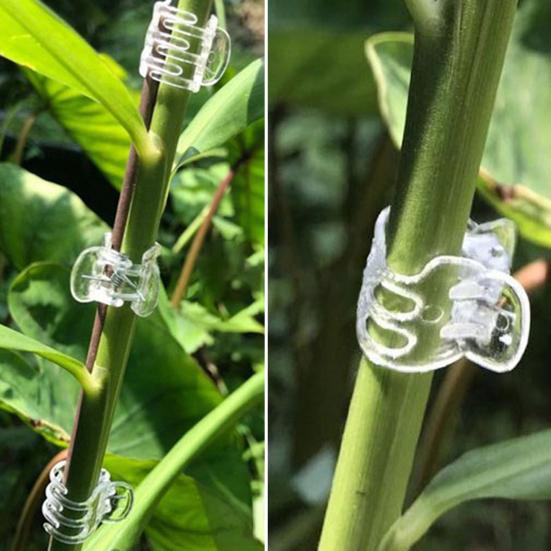 Transparente Pflanzenklammern Kunststoff Phalaenopsis-Klammern Orchideen-Stütz-Klammern für Blumenzweige Kletterpflanzen Ranken Tomaten