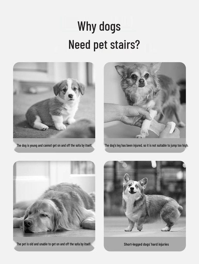 Foldable Pet Stairs: Non-slip Steps for Dogs & Cats - Ideal for Bedside, Sofa & Car