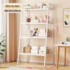 Ladder Storage Shelf