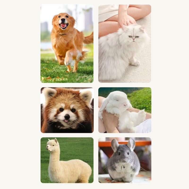 Portable Rechargeable Pet Hair Brush Gentle Soothing Steams Technology for Various Coat Type