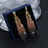 Simple and Versatile Shiny Diamond Long Fringed Earrings
