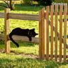 Metal Cat Silhouette Outdoor Garden Decor Fence Ornament
