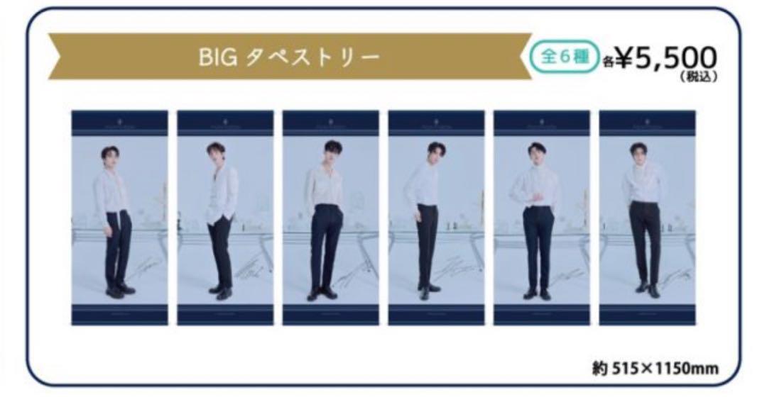 

[USED] PENTAGON BIG Tapestry (5 types)