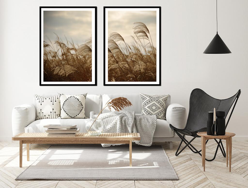 Picture Posters In a Frame 53x73cm Diptych Set of 2 Pictures Grass Beige Boho P2178