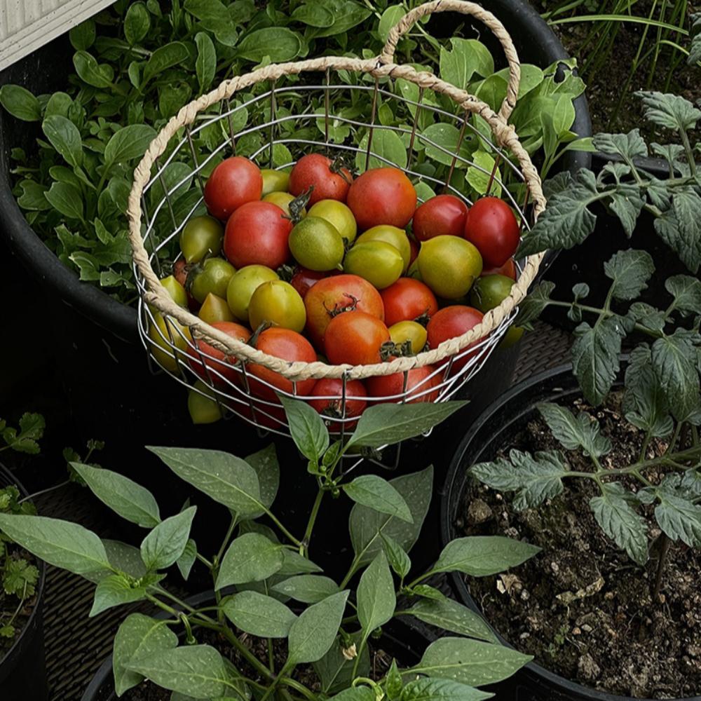 Skandynawski Koszyk Pleciony z Drutu Wygodny Przenośny Koszyk do Przechowywania z Drutu Żelazny Koszyk do Przechowywania Owoców Kuchennych Dekoracja Domu