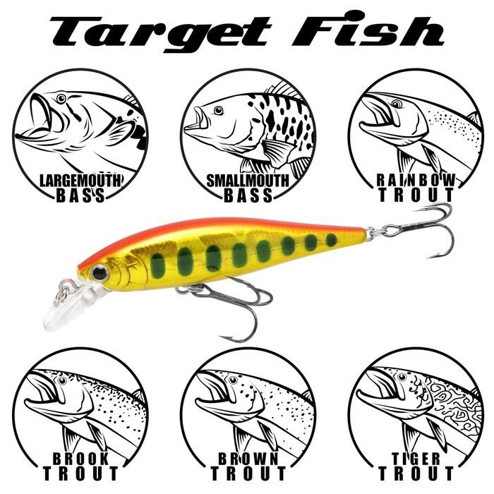Lucky Craft Pointer 65 - US Standard Color (Beefreeze 65SP) Fishing Lure Minnow (052 Aurora Black) PT65