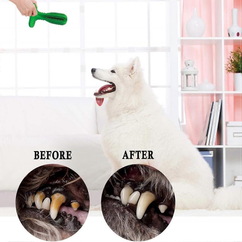 Best Buy Dog Toothbrush Sticks - Puppy Dental Care Brushing Sticks Effective Puppy Teeth Cleaning Massager Non-Toxic Natural Rubber Chew Toy Dogs