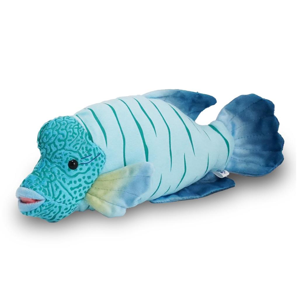 TST Advanced Exciting Illustrated Guide Napoleon Fish 10170 Total Length Approximately 30cm