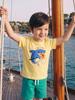 Boys' Embroidered Summer Suit: European Style Round Neck Short Sleeve 2-Piece Set