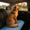 Bequeme Hundekühlmatte Sommer Hundebett-Pad Neue Haustier-Kühlmatte Für Welpen Und Erwachsene Hunde