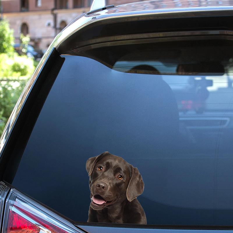 Cute Labrador Car Stickers Scratch Covering Self-Adhesive Waterproof Decal Motorcycle Decorative AccessoriesJM23
