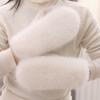 Keep Warm Plush Gloves Fleece Lining Faux Fur Mittens Cute Winter Gloves  Winter Season