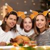 Spoof Turkey Leg Hairhoop Plush Chicken Leg Headband Cosplay Costume Festive Party Headdress Adult Kids Funny Headpieces