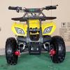 49cc Little Bull Kids ATV: Four-Wheeled Off-Road All-Terrain Buggy, Children's Sports Toy