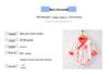 Unisex Cotton Long-Sleeve Snap-Up Bodysuit for Babies - All-Season Newborn Romper