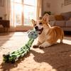 1pc Interactive Tug Rope, Chew Resistant for Puppies & Small Dogs, Durable Cotton, Supports Dental Health, Fun Training