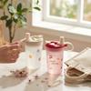 Transparent Plastic Water Bottle Portable Cold And Hot Drinking Cup With Strainer Leak-proof Straw Water Cup For Kids Students