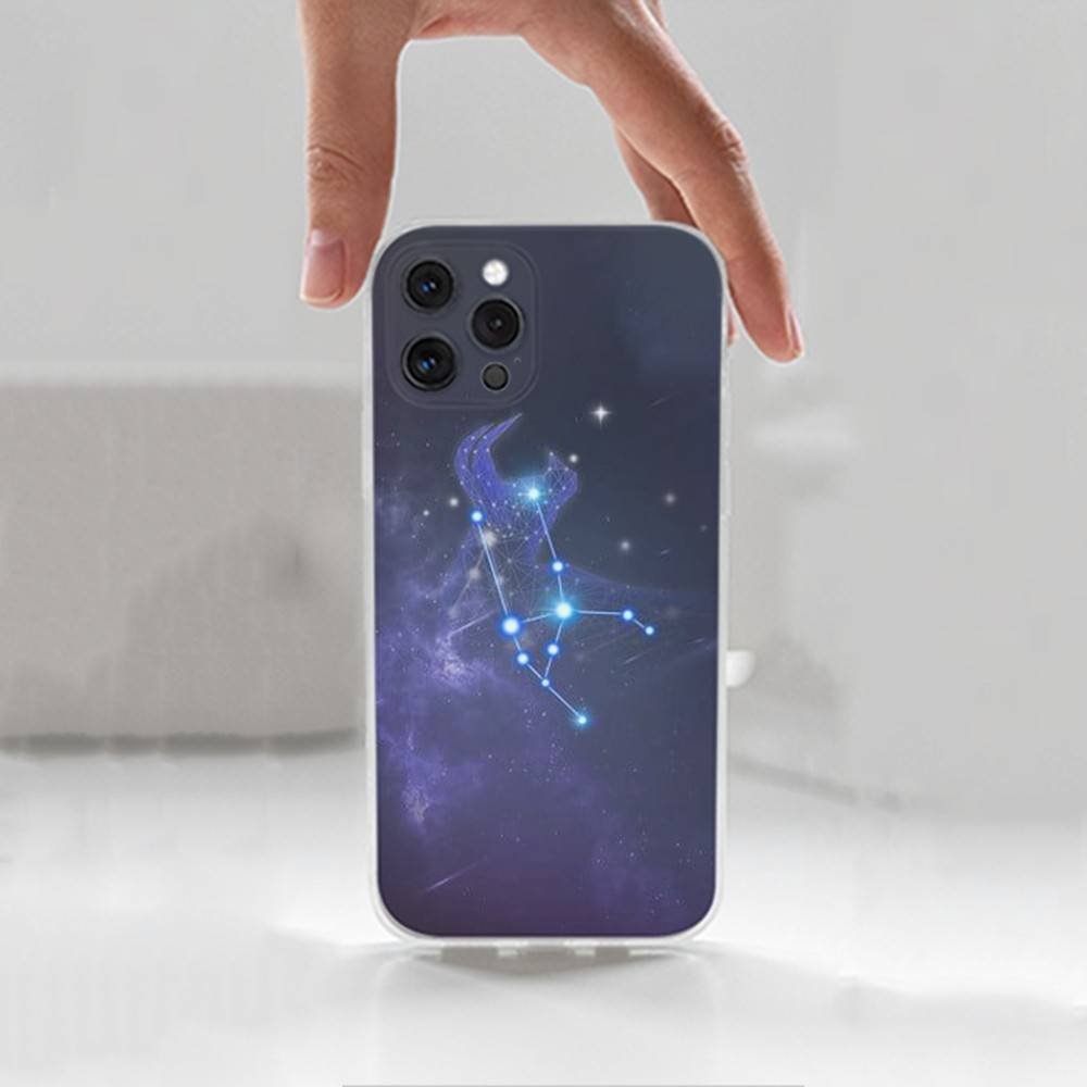twelve Constellation Case For iPhone X,14,16,Mini,XS,SE,12,15,Pro,17,Plus,11,Max,13,XR,Transparent Soft Cover