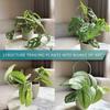 4Pcs Plant Climbing Rack Sturdy Good Ventilating Metal Indoor Outdoor Potted Plants Flower Support Holder Daily