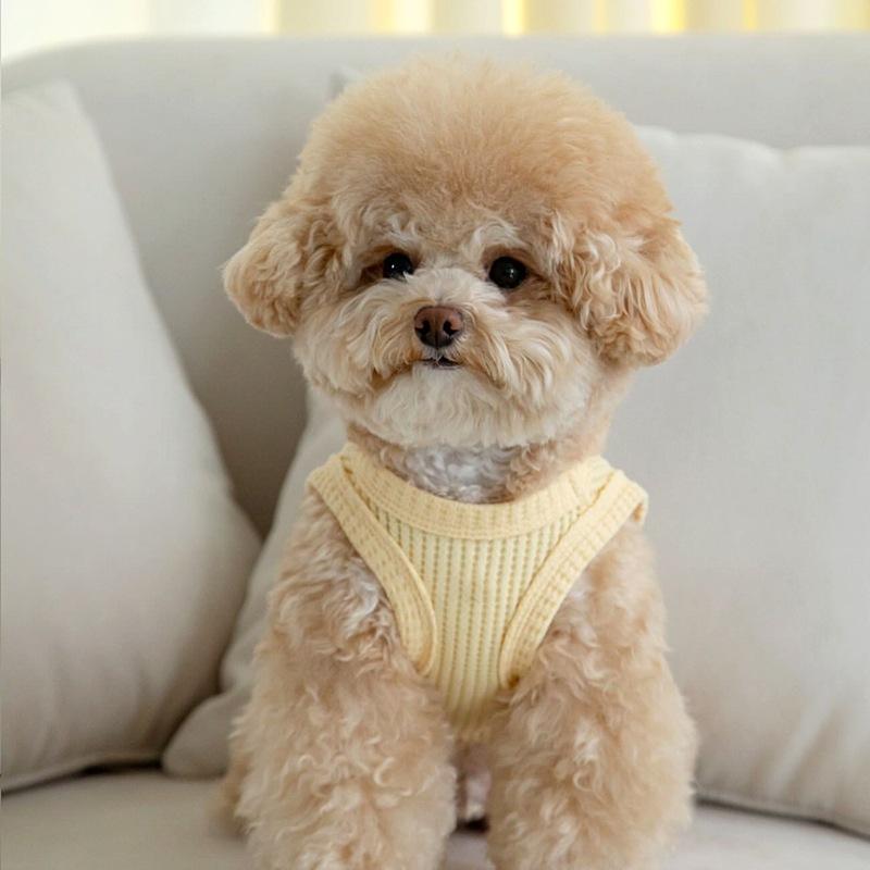 Pet Spring Waffle Tank Top Pet Thin Splicing Bear Short Sleeve Top Breathable Tank Top Small Dog Teddy Puppy Clothes