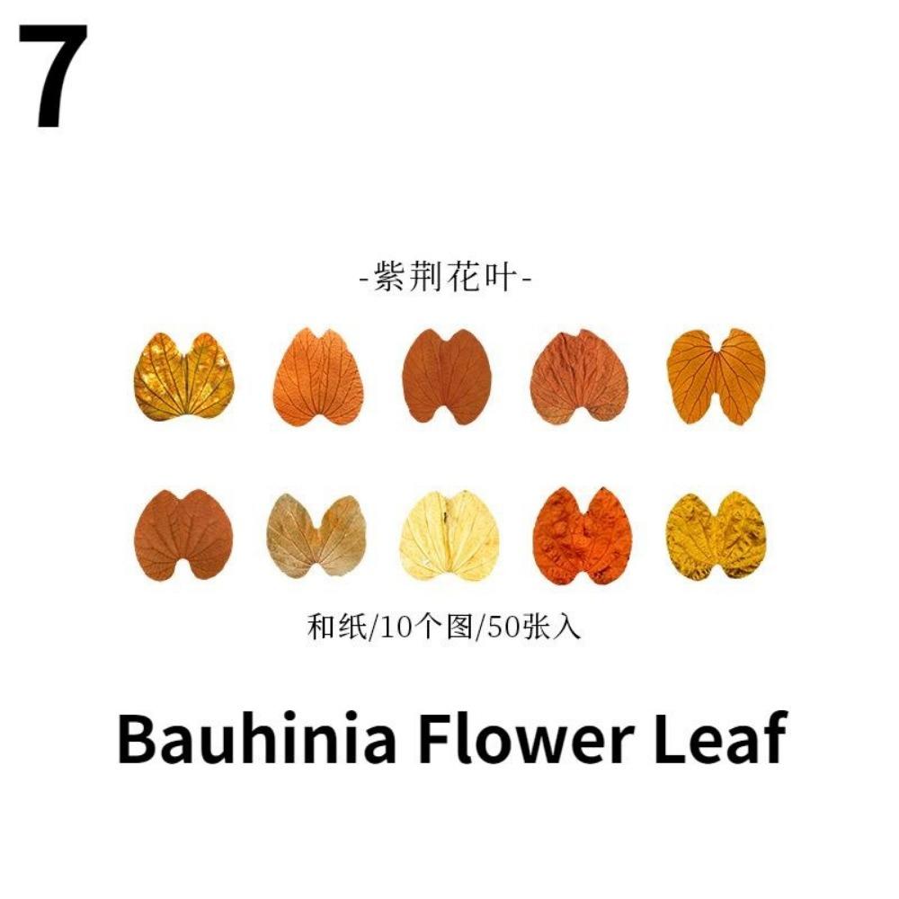 

50 шт. наклейки для скрапбукинга в виде листочков, симпатичные рулоны наклеек, самоклеящиеся наклейки для самостоятельного украшения для художественных промыслов 7