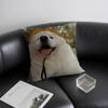 Happy Cute Puppy Smiling Sunshine Pillow Case Anti-dustmite Pillowcase Invisible Zipper Silky Short Plush Sofa Cushion Cover
