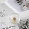 Dandelion & Sunflower Crystal Ball Ornament - High-End Gift for Christmas, Birthday, or Valentine's Day (M2)