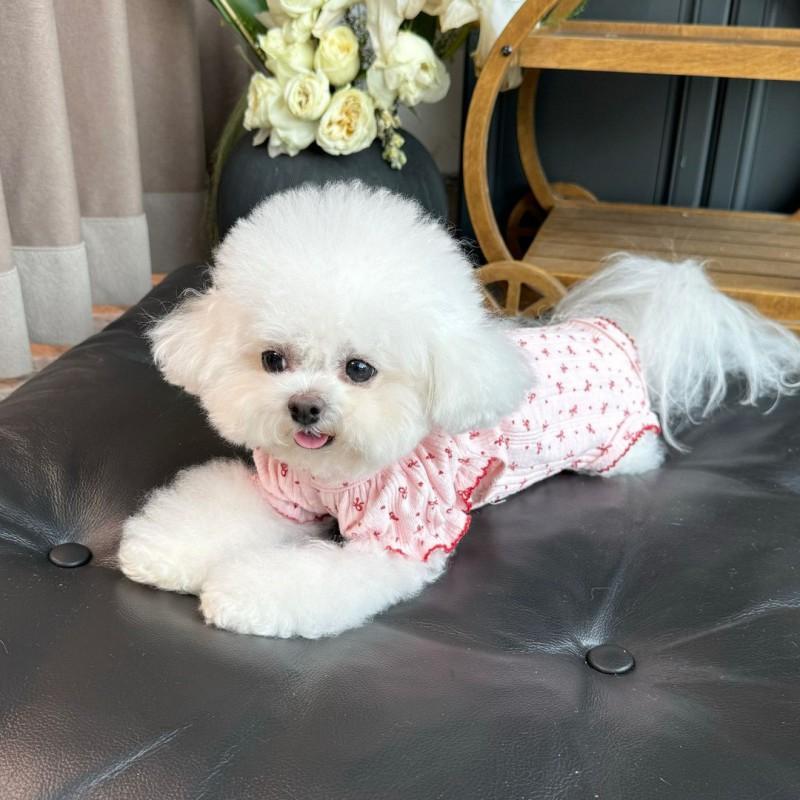 Adorable Stretchy Bubble Sleeve Dog Vest With Full Belly Coverage Warmth All Season