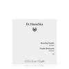 DR. HAUSCHKA Tönungs-Bronzing-Puder Teint Nr.01 Bronze 10g