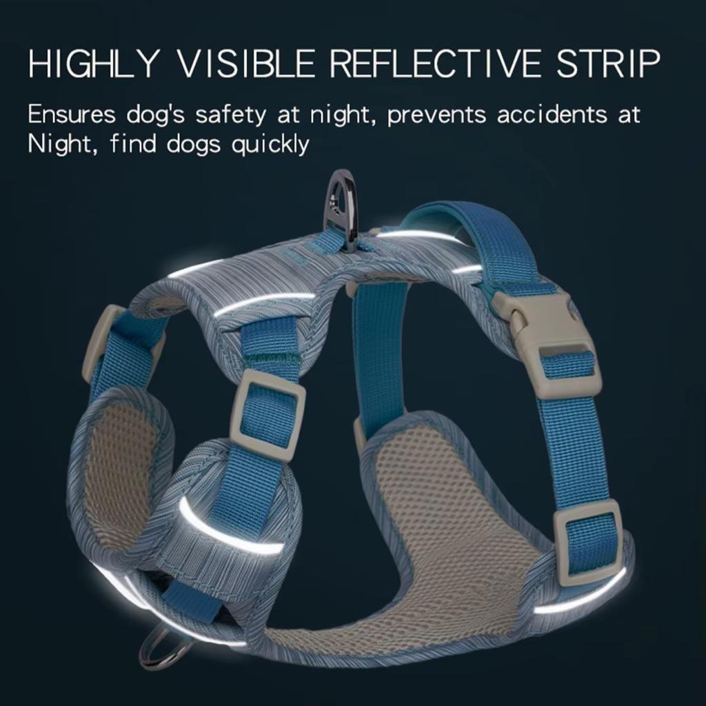 HP302--Miękka uprząż dla psa z wytrzymałej tkaniny oxford i oddychającej siateczki wewnątrz, Projekt w świeżych kolorach.