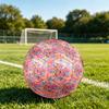 1pc Butterfly Garden Dreams Theme Soccer Ball Football, Size 5, Lightweight PVC, Outdoor Training Soccer Ball,Gift J6142