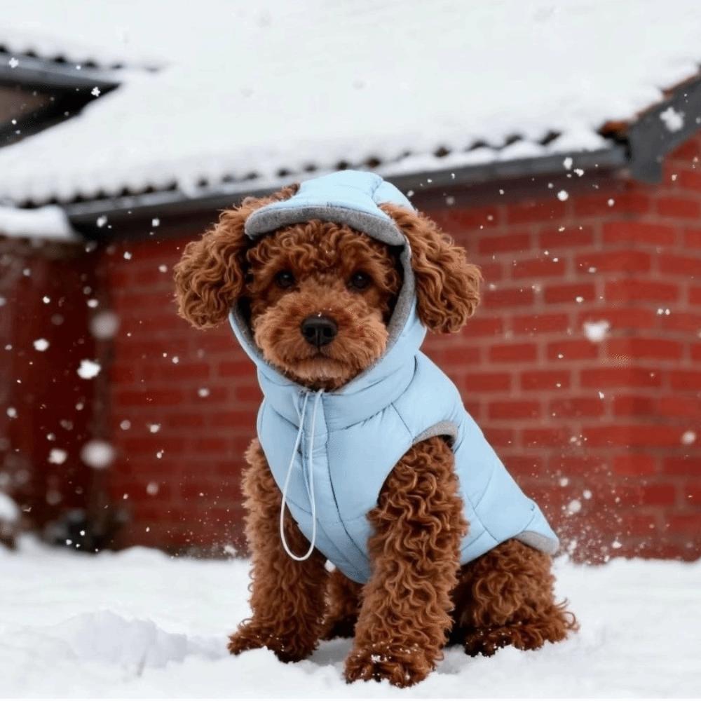 Warm Dog Down Jacket Thickened Comfortable Winter Cotton Coat with Ear Hole Cold Protection Windproof Dog Jacket Daily Use