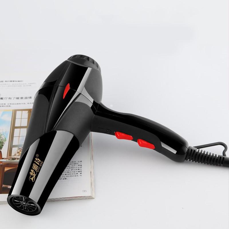 Hair Dryer Hairs Salon Style Home Use With High Air Flow And Quick 220v Drying