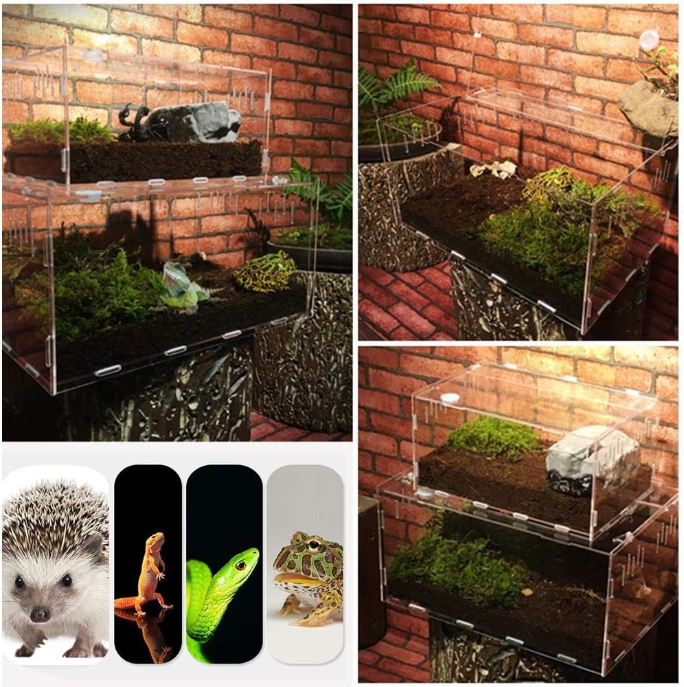 

Acrylic Terrarium Reptile Enclosure With Ventilation Holes Easy To Clean And Maintain Magnetic